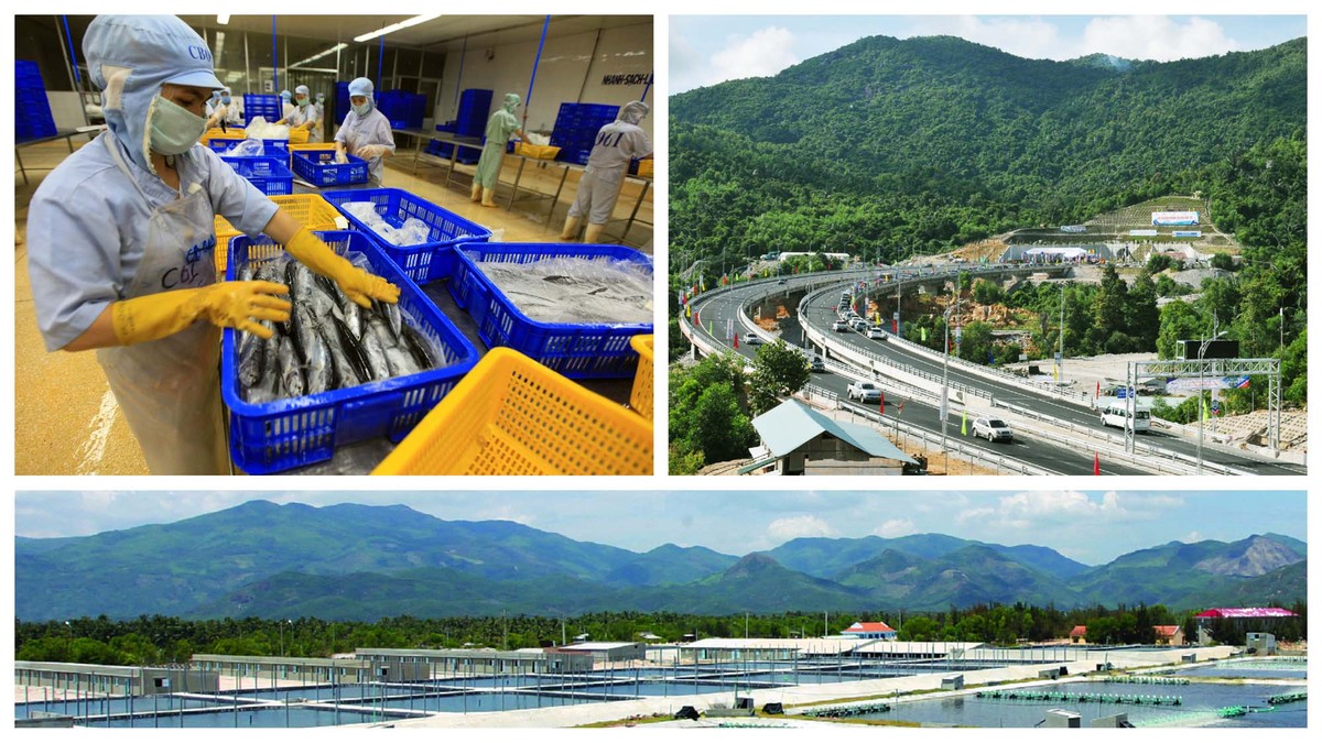 Giao lưu trực tuyến với lãnh đạo UBND tỉnh Phú Yên: Cơ hội đầu tư vào Phú Yên ảnh 108